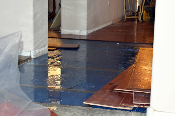 Professional Burst Pipe Cleanup technician working in Brinnon, WA